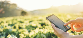 Farmer checking touchpad in Nappa cabbage Fram in summer