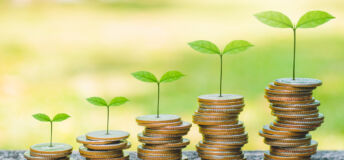 small green shoots on top of piles of coins