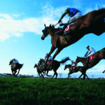 Horse Race Betting